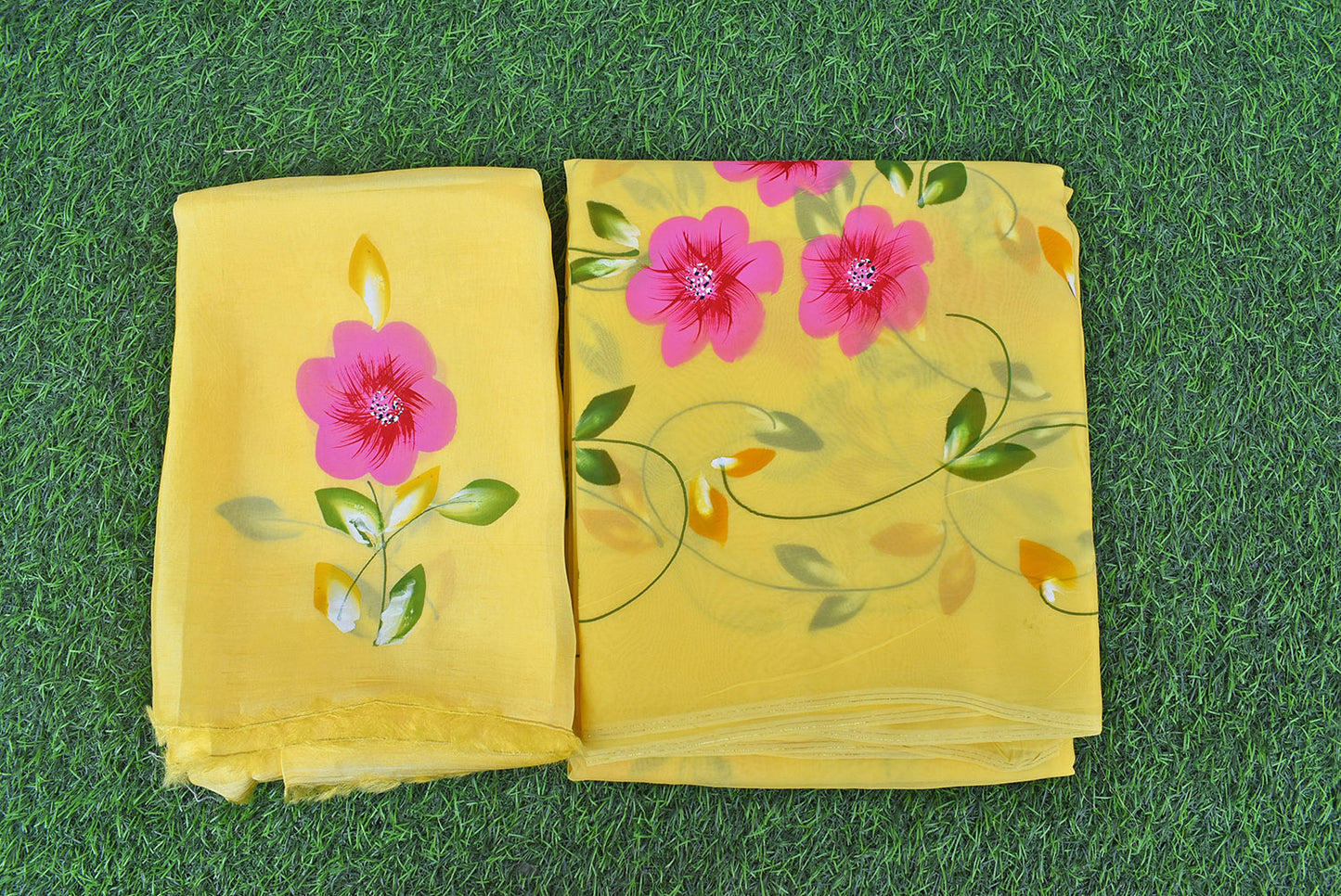 Prakriti : Beautiful Organza Saree with Hand Painted Floral Motifs