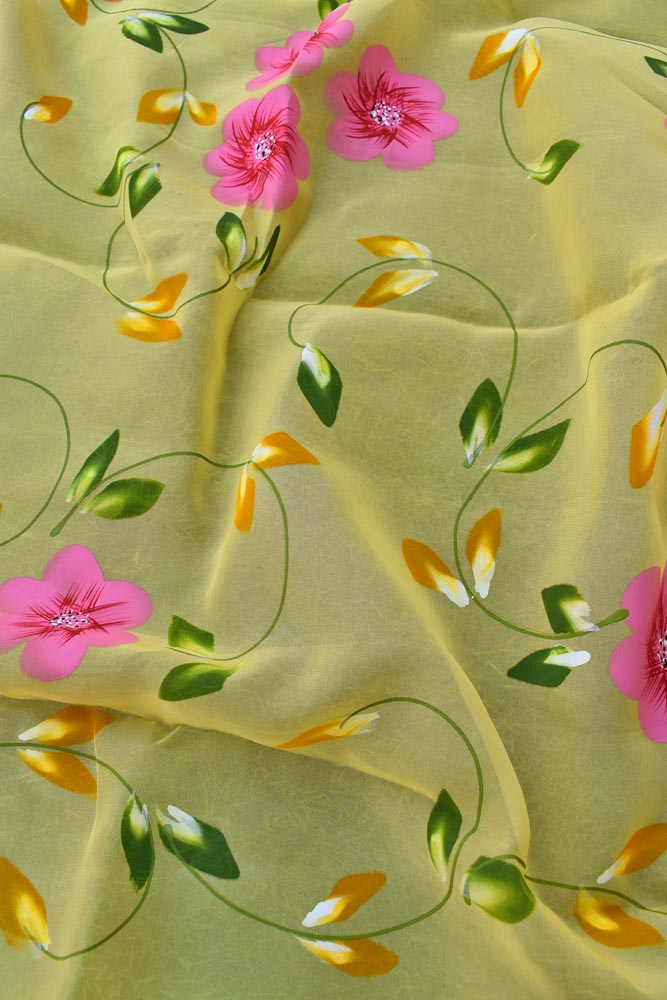 Prakriti : Beautiful Organza Saree with Hand Painted Floral Motifs