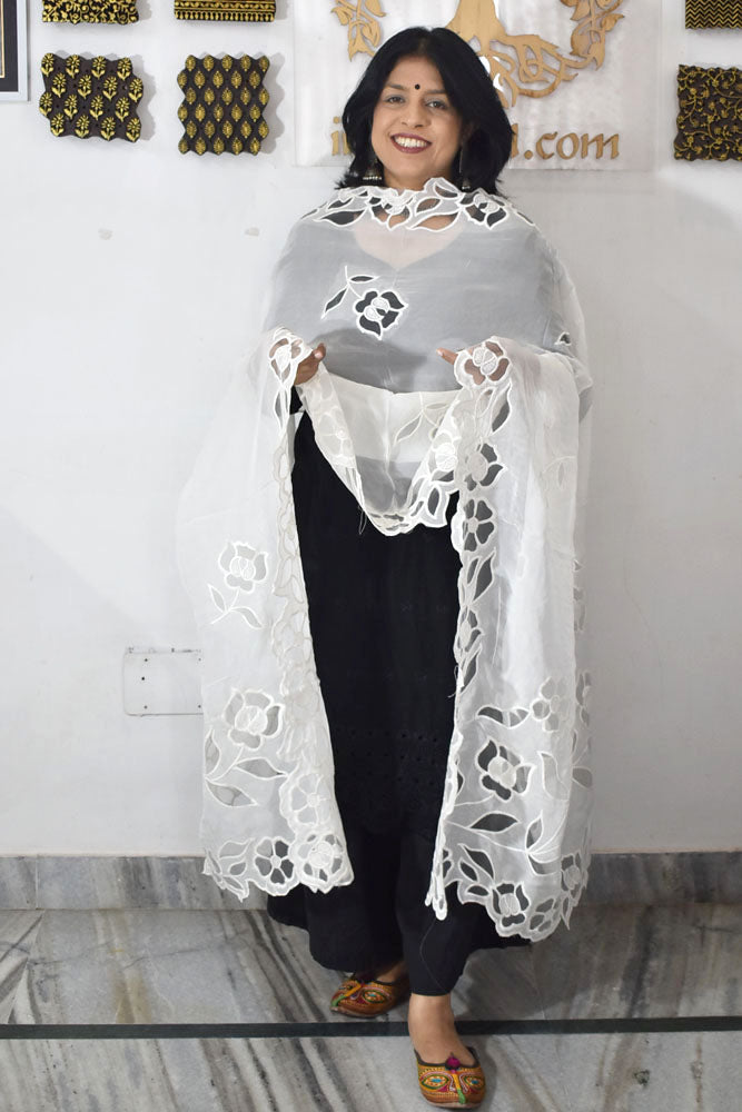 Gorgeous Cutwork Viscose Organza Dupatta