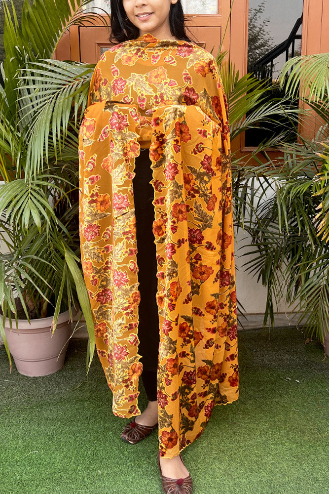 Velvet Brasso Dupattas on Georgette base