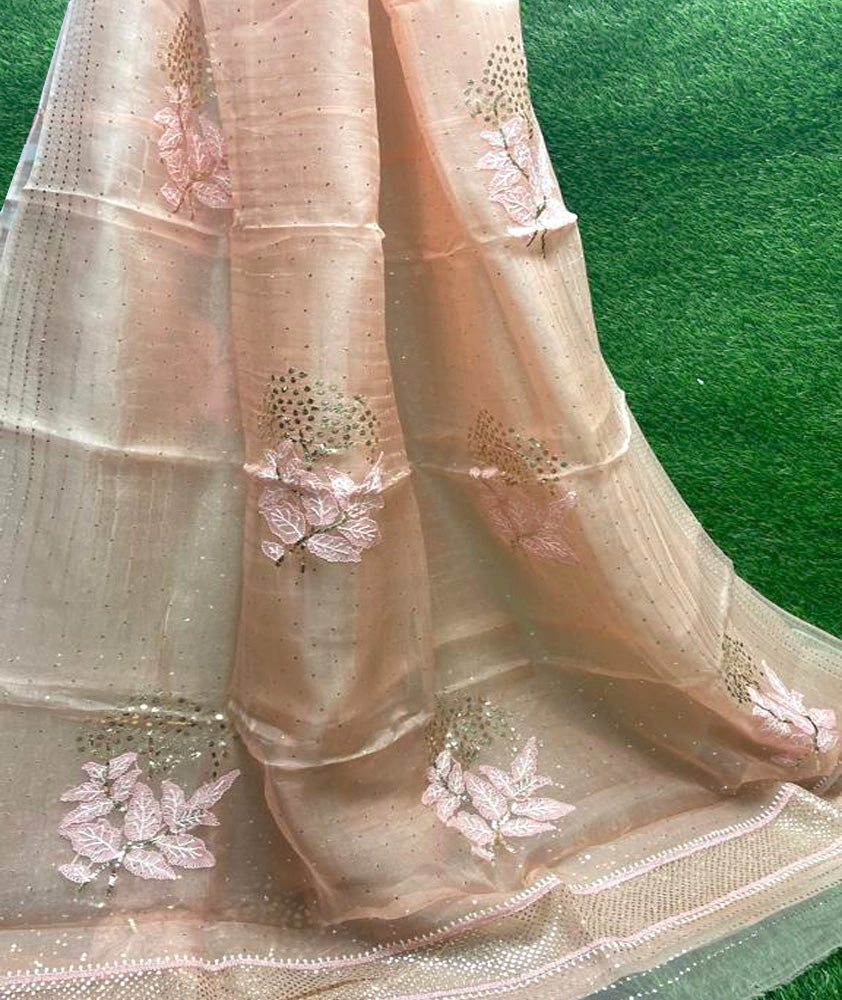 Lucknowi Chikan & Muqaish work Soft pure Organza silk Saree with blouse