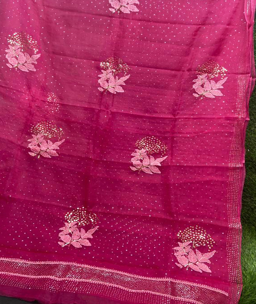 Lucknowi Chikan & Muqaish work Soft pure Organza silk Saree with blouse