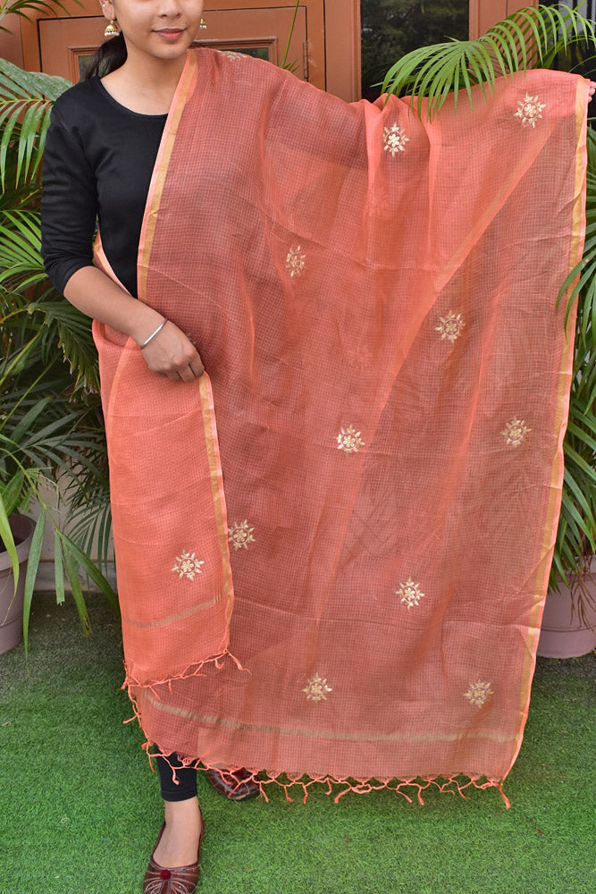 Kota silk dupatta with Pitta Embroidery work