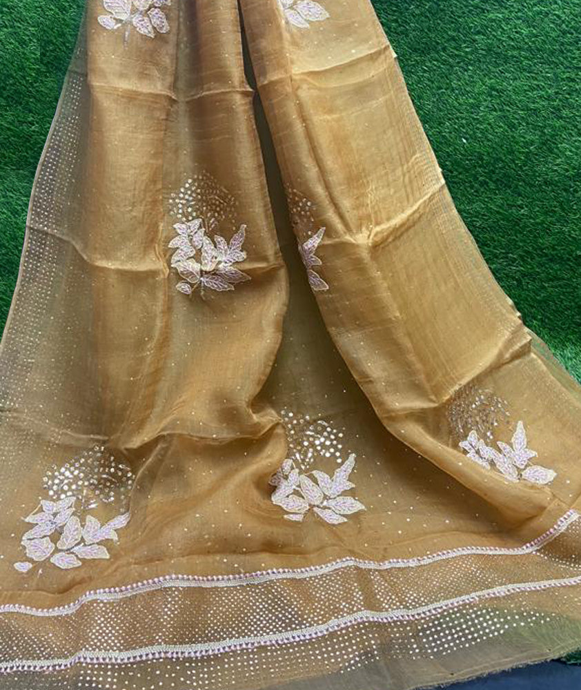 Lucknowi Chikan & Muqaish work Soft pure Organza silk Saree with blouse