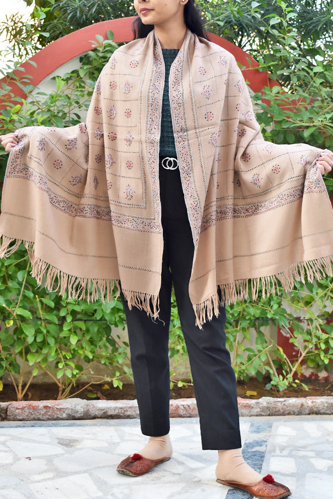 Intricate Kashmiri Sozni Hand Embroidery & Cutwork Work Woolen Stole