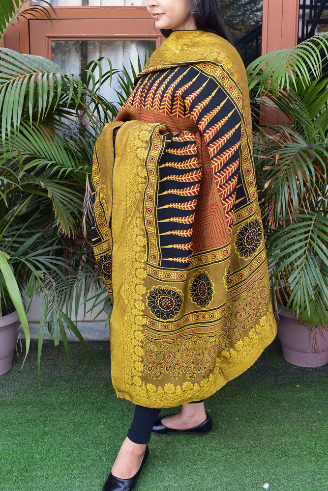 Elegant Ajrakh Hand Block Print Organza Dupatta/ Stole with Woven bootis and borders