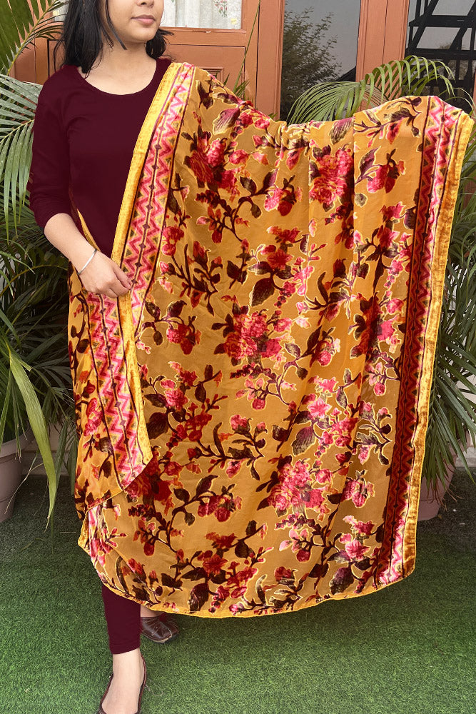 Velvet Brasso Dupattas on Georgette base