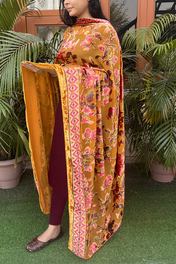 Velvet Brasso Dupattas on Georgette base