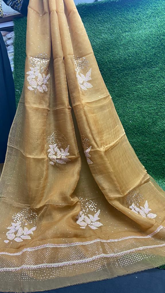 Lucknowi Chikan & Muqaish work Soft pure Organza silk Saree with blouse
