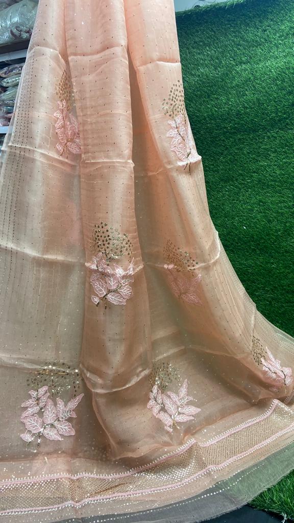 Lucknowi Chikan & Muqaish work Soft pure Organza silk Saree with blouse