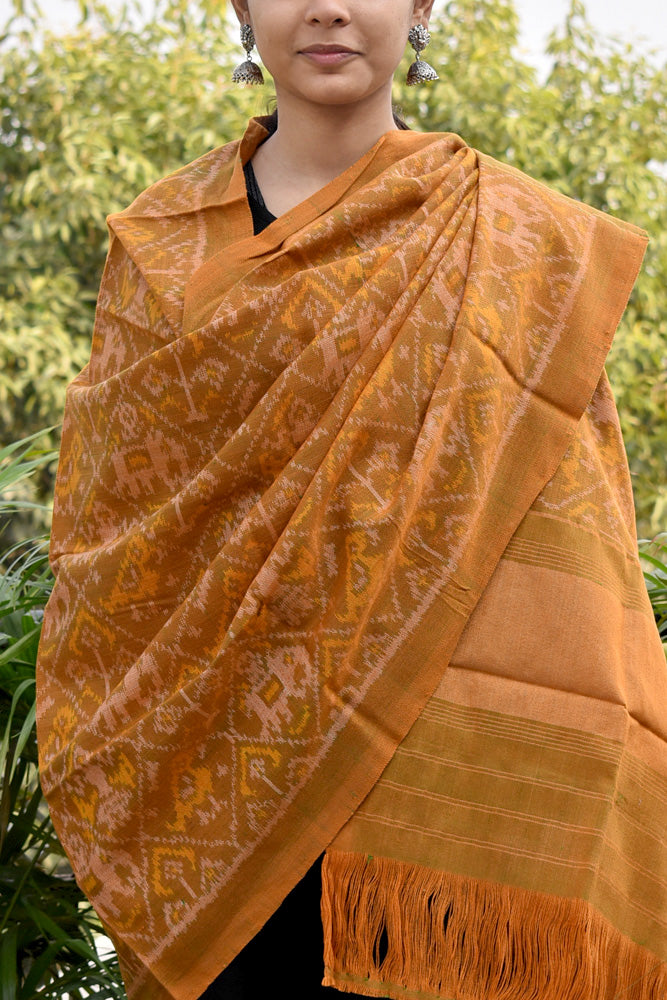 Beautiful Handwoven Single Ikat Patola Woolen Shawl