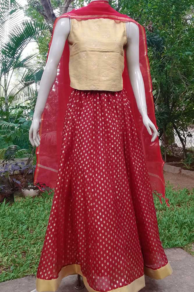 Stunning Kalidaar Kota silk long skirt