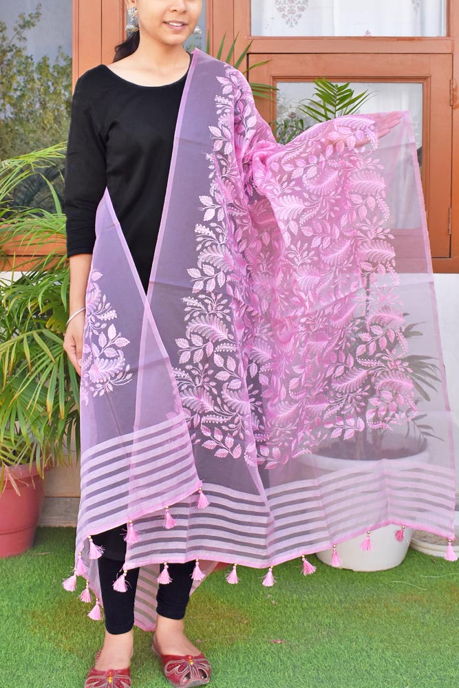 Beautiful Organza dupatta with Embroidery