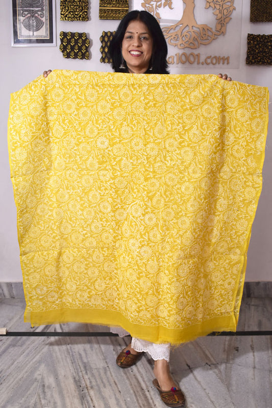 Hand Embroidered Chikankari Tepchi work Kota Doria fabric - (2.8 mtrs )