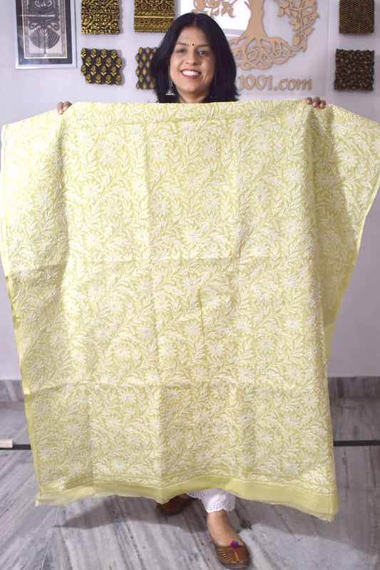 Hand Embroidered Chikankari Tepchi work Kota Doria fabric - (2.8 mtrs )