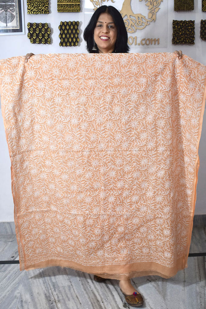 Hand Embroidered Chikankari Tepchi work Kota Doria fabric - (2.8 mtrs )