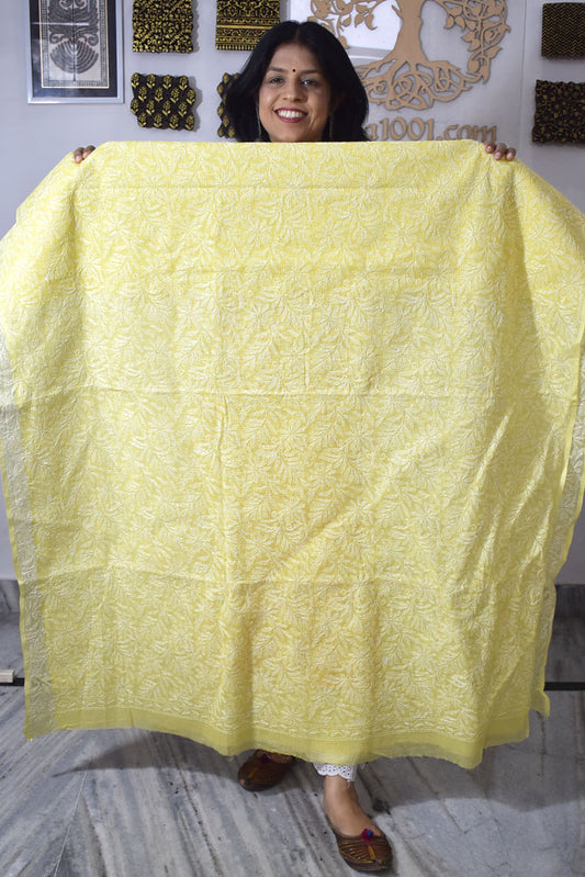 Hand Embroidered Chikankari Tepchi work Kota Doria fabric - (2.8 mtrs )