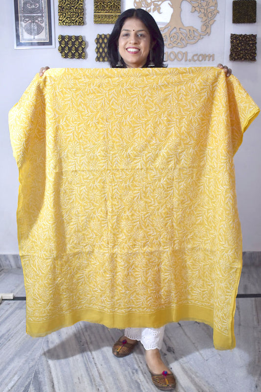 Hand Embroidered Chikankari Tepchi work Kota Doria fabric - (2.8 mtrs )