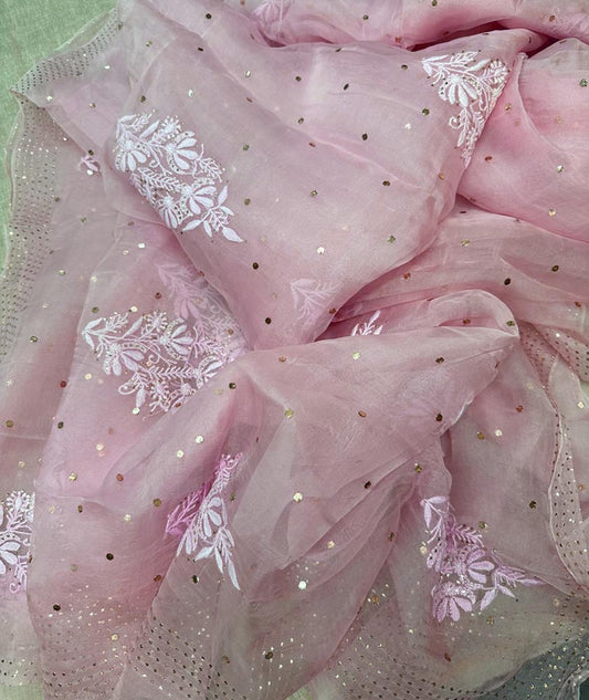 Lucknowi Chikan & Muqaish work Soft pure Organza silk  Saree with blouse