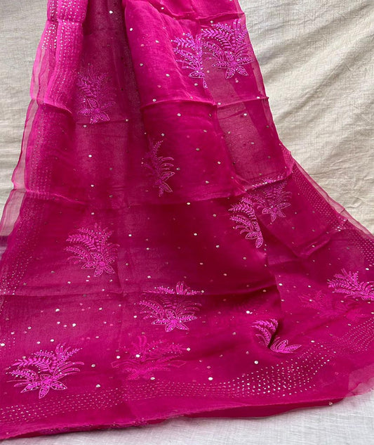 Lucknowi Chikan & Muqaish work Soft pure Organza silk  Saree with blouse