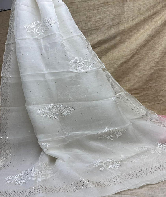 Lucknowi Chikan & Muqaish work Soft pure Organza silk  Saree with blouse