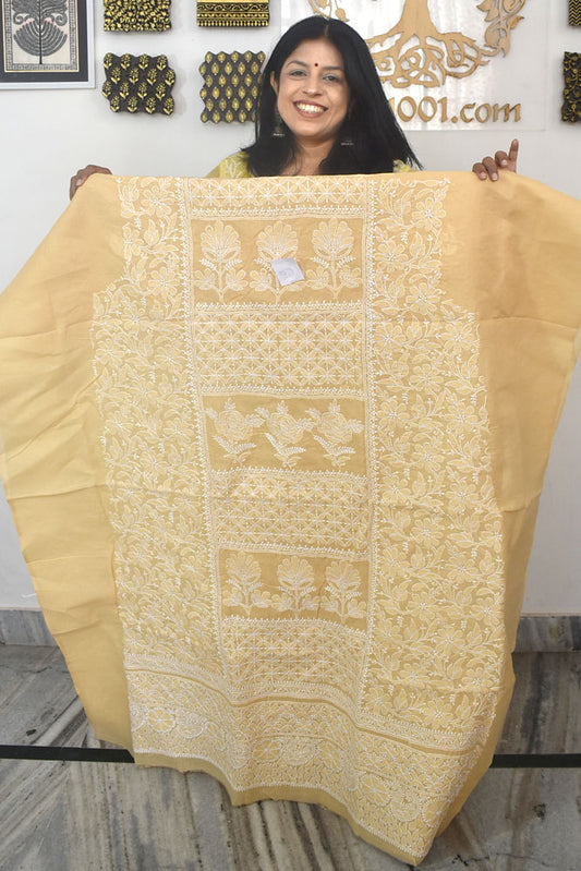 Elegant Voil Cotton Kurta With Lucknowi Hand Chikankari embroidery NO - 9