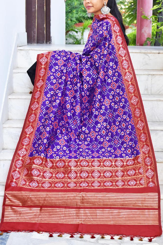 Beautiful Banarasi Dupatta with Patola Inspired patterns