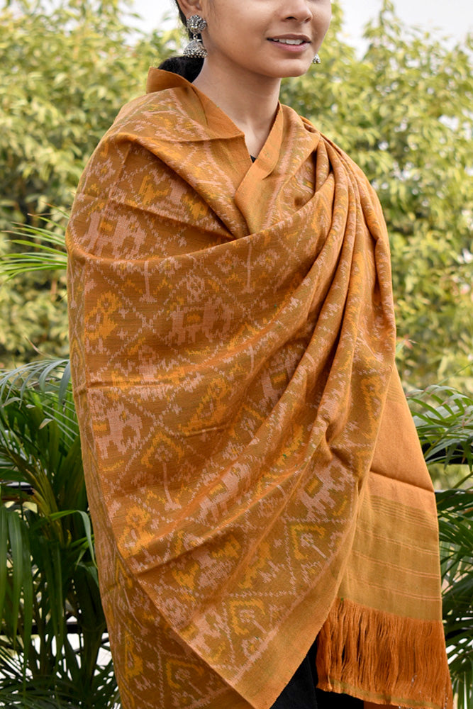 Beautiful Handwoven Single Ikat Patola Woolen Shawl