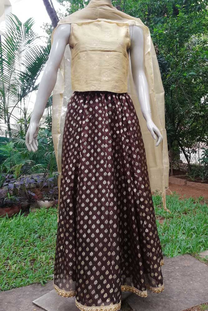 Stunning Kalidaar Kota silk long skirt