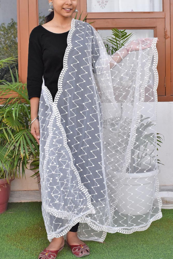 Beautiful Net dupatta with embroidery