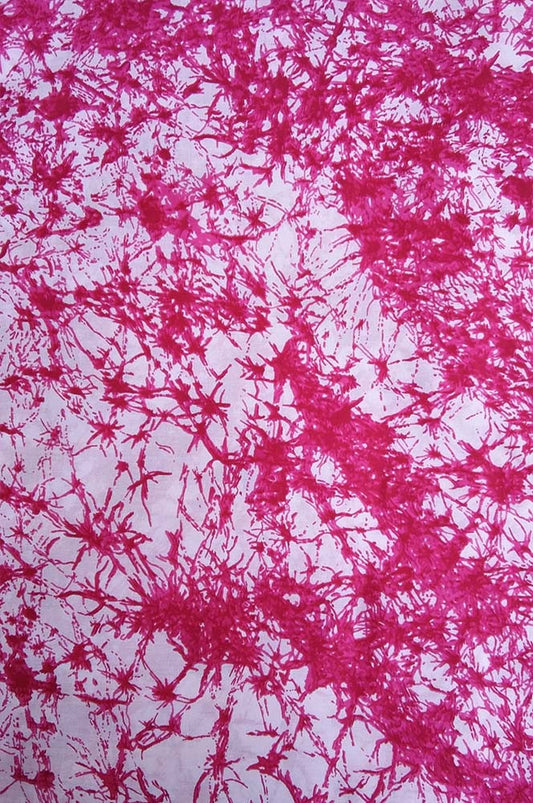 Printed Cotton Fabric