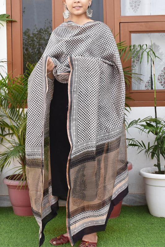 Handwoven Maheshwari Silk Cotton dupatta with Bagh Hand block print