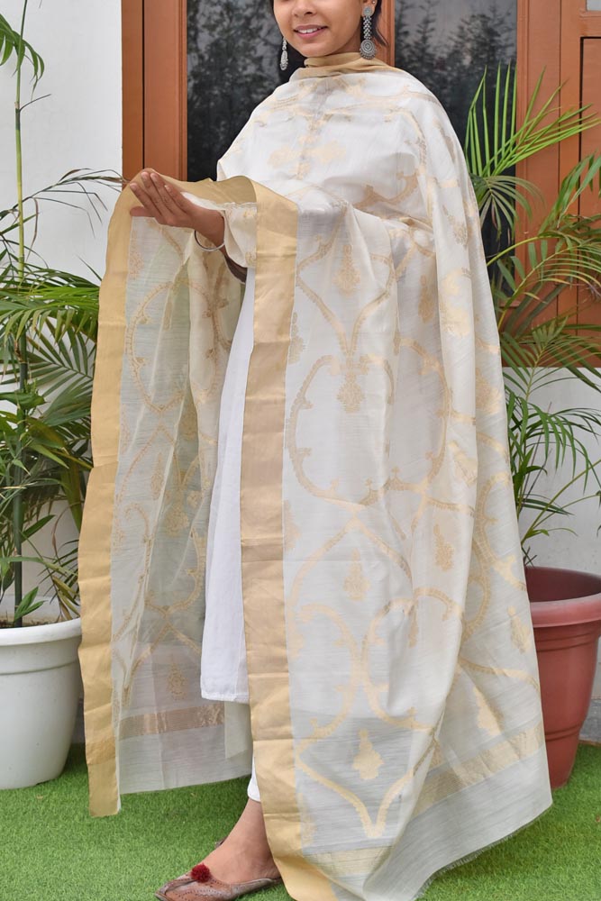 Elegant Intricate Handwoven Handloom Chanderi Dupatta