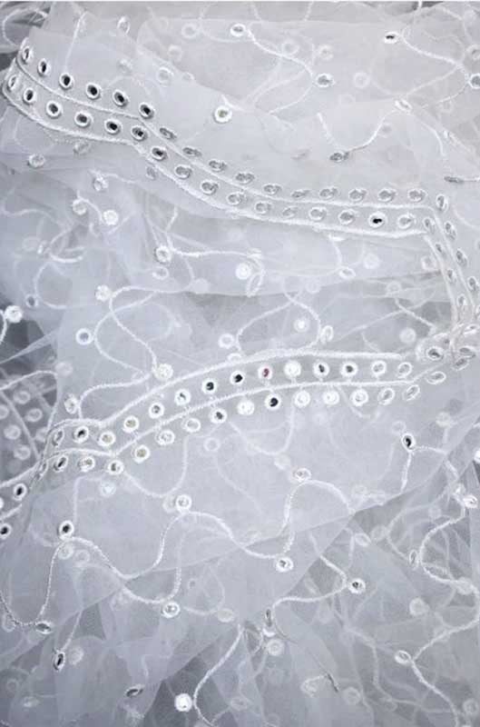 Beautiful Net dupatta with embroidery